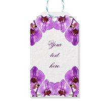 Schöne lila Orchideen