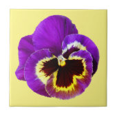 Schöne lila Pansy Fliese (Vorderseite)