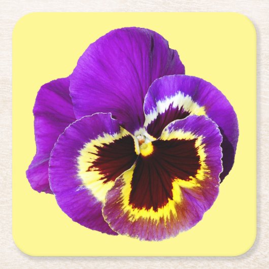 Schöne lila Pansy Rechteckiger Pappuntersetzer (Vorderseite)