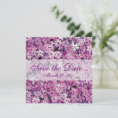 Schöne Lila Phlox Blume Ankündigungen (Stehend Vorderseite)