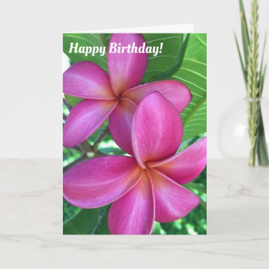 Schöne Lila Plumeria Maui Geburtstag Karte (Vorderseite)