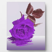 Schöne Lila Rose Foto Plaque Fotoplatte (Vorderseite)