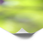 Schöne Lila Salvia Amistad Blume Poster (Ecke)