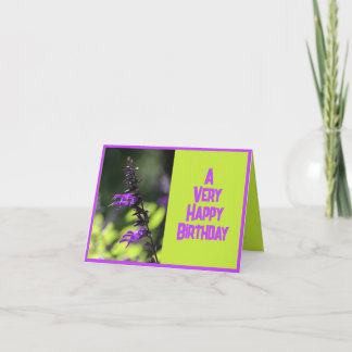 Schöne Lila Salvia Blume Geburtstag Karte
