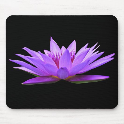 Schöne Lila Schwimmwasserlilie Mousepad (Vorne)