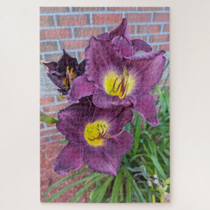 Schöne lila Taglilien Puzzle