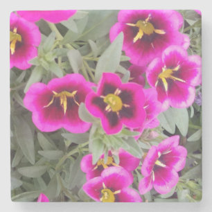 Schöne Lila und rosa Blume Stone Untersetzer