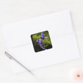 Schöne Lila Vögel im Flight Sticker Set (Umschlag)