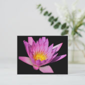Schöne lila Wasserlilie #200NW 200 Postkarte (Stehend Vorderseite)
