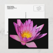 Schöne lila Wasserlilie #200NW 200 Postkarte (Vorne/Hinten)