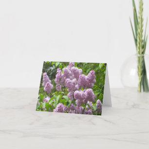 Schöne Lilac Bush Blank Note Card Karte