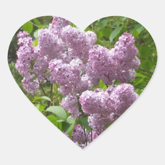 Schöne Lilacs - Blumenfotografie Herz-Aufkleber (Vorderseite)
