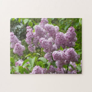 Schöne Lilacs - Blumenfotografie Puzzle