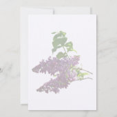 Schöne Lilacs Einladung (Rückseite)