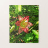 Schöne Lilie Puzzle (Vertikal)