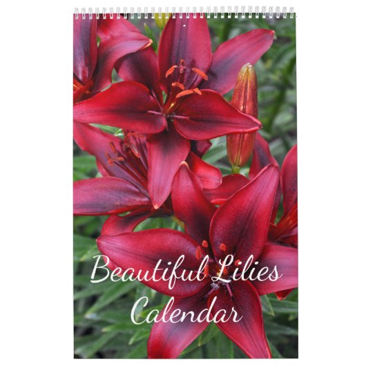 Schöne Lilienblüte Kalender (Titelbild)