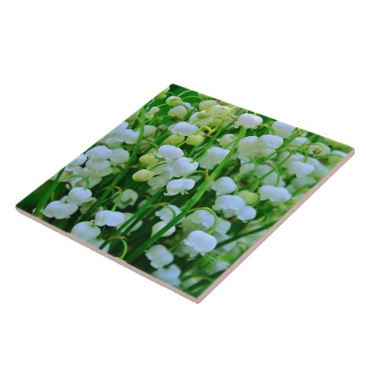 Schöne Lily der Valley Frühlingsblumen Fliese (Seite)