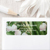 Schöne Lily des Tals (Insitu)