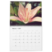 Schöne Lily-Foto Kalender (Feb 2027)