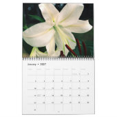 Schöne Lily-Foto Kalender (Jan 2027)