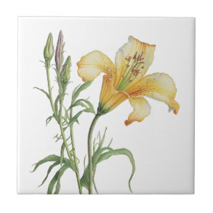 Schöne Lily Vintage-Botanik-Keramikfliese Fliese