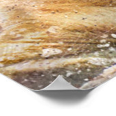 Schöne Lioness Fotografie Moderne Wasserfarbe Poster (Ecke)