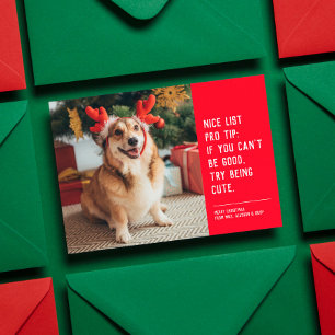 Schöne Liste lustiger Weihnachtsfotos von Haustier Feiertagskarte