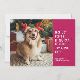 Schöne Liste lustiges Haustier pink Weihnachten Fo