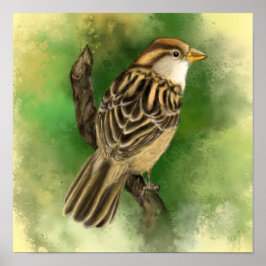 Schöne Little Sparrow Poster Paintin