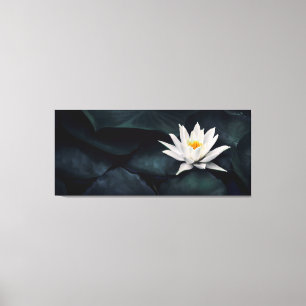 Schöne Lotus-Blume in der Nähe Leinwanddruck
