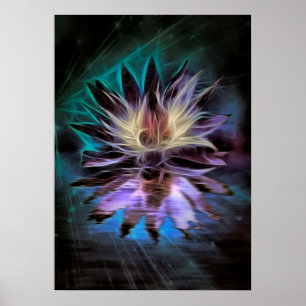 Schöne Lotus-Blume Poster