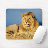 Schöne Löwen-Mausmatte Mousepad (Mit Mouse)