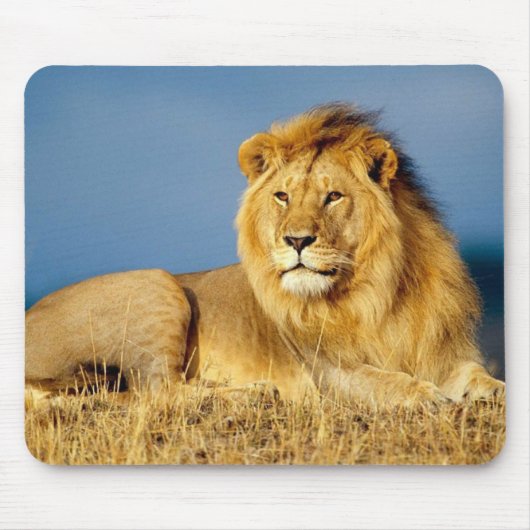 Schöne Löwen-Mausmatte Mousepad (Vorne)