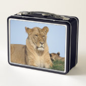 Schöne Löwenruhe im Grünen Metall Brotdose (Rückseite)