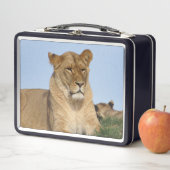 Schöne Löwenruhe im Grünen Metall Brotdose (Beispiel)