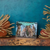 Schöne Macaque Monkey Scripture Exodus 20:16 Fotoplatte (Seite)