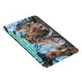 Schöne Macaque Monkey Scripture Exodus 20:16 Magnet (Rechte Seite)