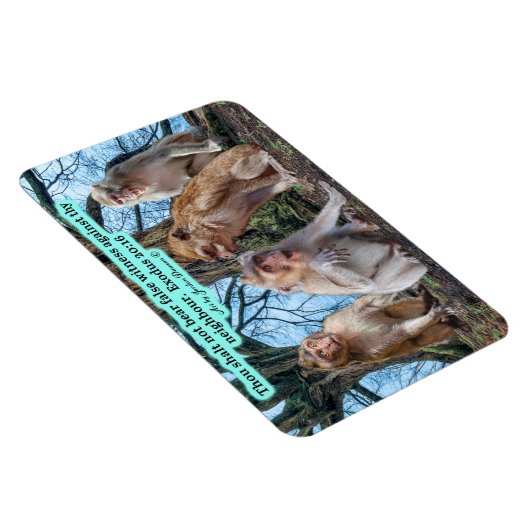 Schöne Macaque Monkey Scripture Exodus 20:16 Magnet (Rechte Seite)