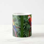 Schöne Macaw-Kaffee-Tasse Kaffeetasse (Mittel)