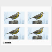 Schöne Magerlarne mit gelben und grauen Markierung Rechteckiger Aufkleber (Blatt)