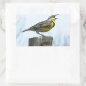 Schöne Magerlarne mit gelben und grauen Markierung Rechteckiger Aufkleber (Tasche)