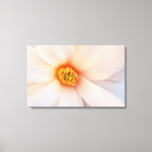 Schöne Magnolia-Blume nah Leinwanddruck