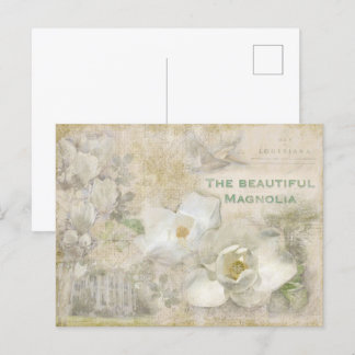 Schöne Magnolia Vintag Collage Postkarte