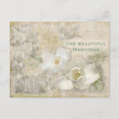Schöne Magnolia Vintag Collage Postkarte (Vorderseite)