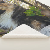 schöne majestätische Katze bunt Sherpadecke (3/4)