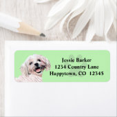 Schöne maltesische Rücksendeadresse (Insitu)