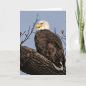 Schöne Mama (Adler) Karte (Vorderseite)