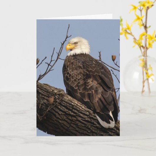 Schöne Mama (Adler) Karte (Gelbe Blume)