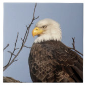 Schöne Mama (Adler) Keramik Tile Fliese (Vorderseite)