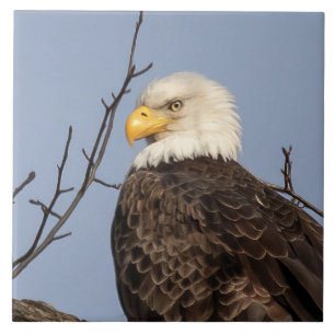 Schöne Mama (Adler) Keramik Tile Fliese